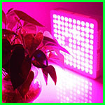 led grow lights